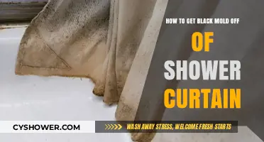 Effective Ways to Remove Black Mold from Your Shower Curtain