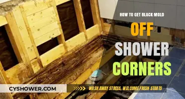 Effective Tips to Remove Black Mold from Shower Corners Easily