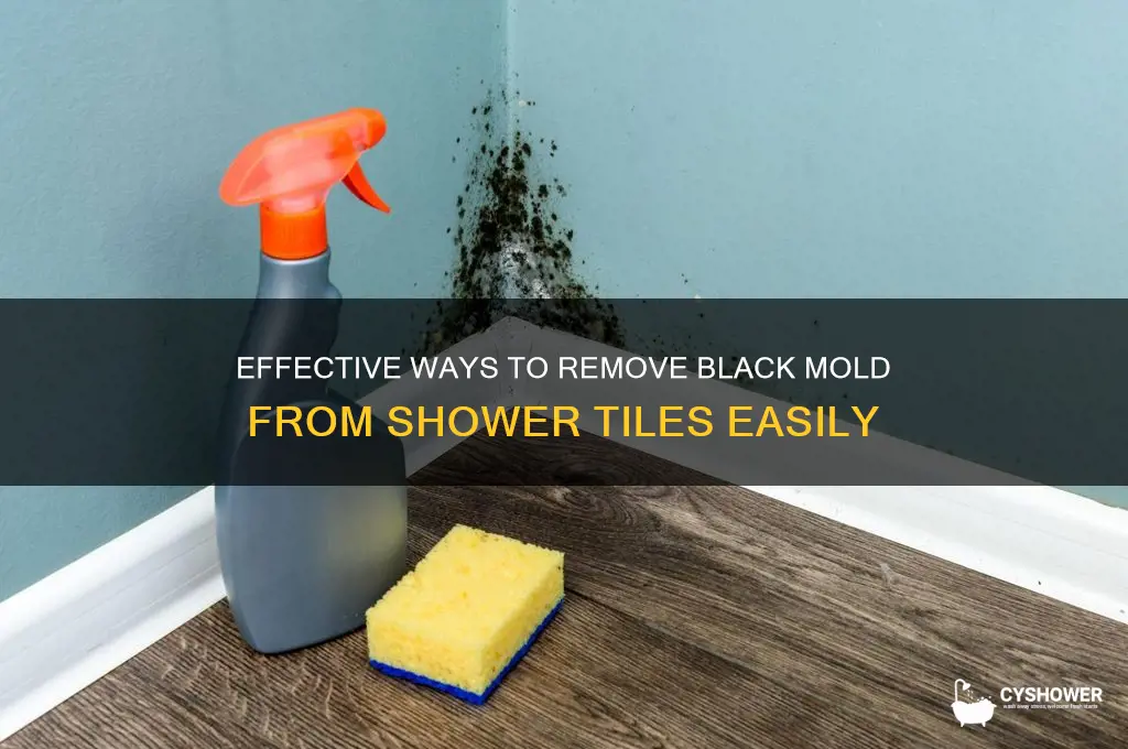 how to get black mold off shower tile