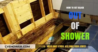 Effective Ways to Remove Black Mold from Your Shower