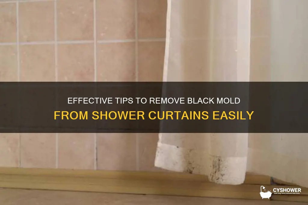how to get black stuff off shower curtain