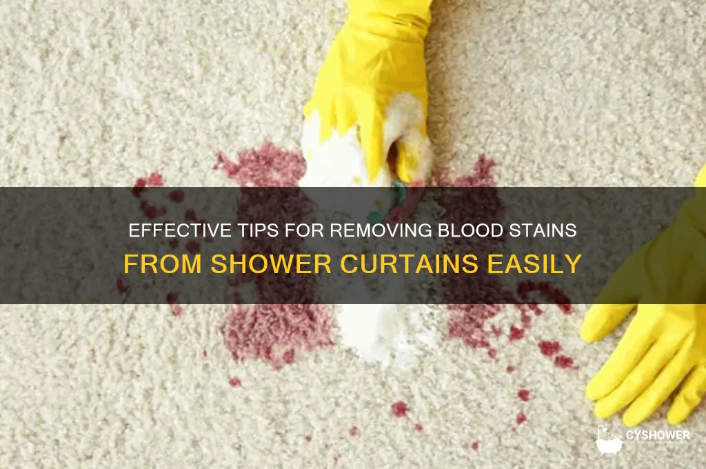 how to get blood out of a shower curtain