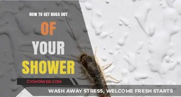 Effective Ways to Eliminate Shower Bugs and Keep Your Bathroom Clean