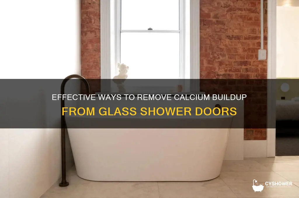 how to get calcium build up off glass shower door