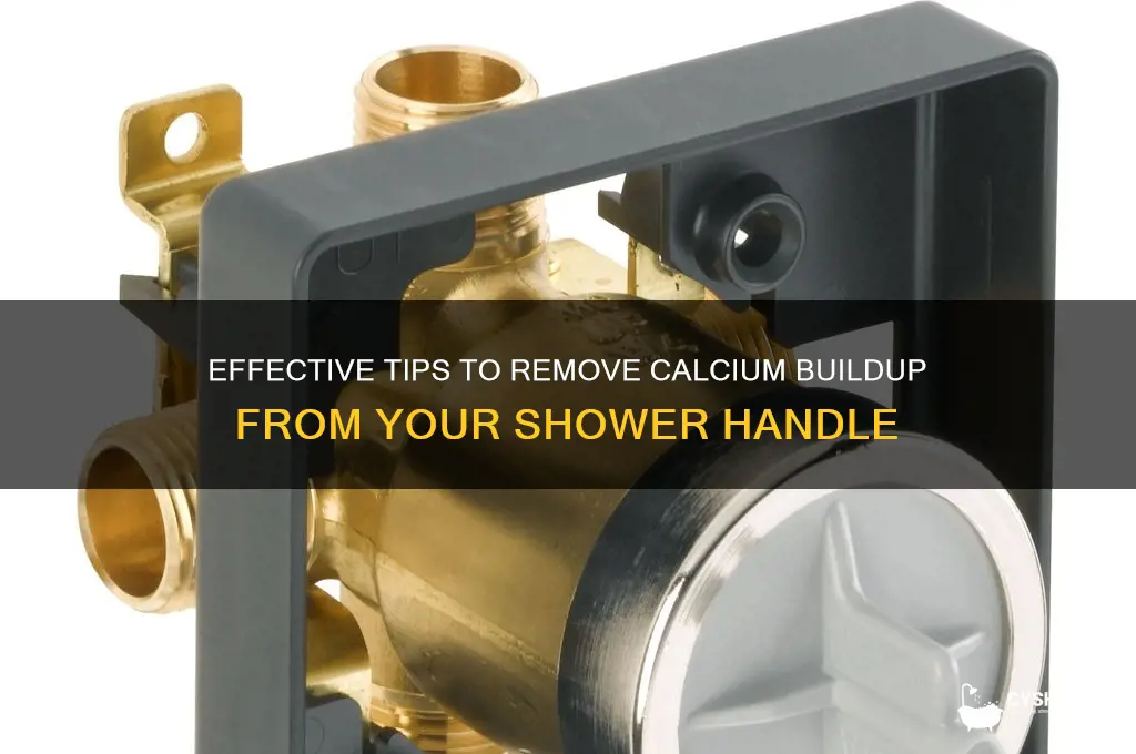 how to get calcium buildup of shower handle