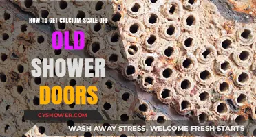 Effective Ways to Remove Calcium Scale from Old Shower Doors
