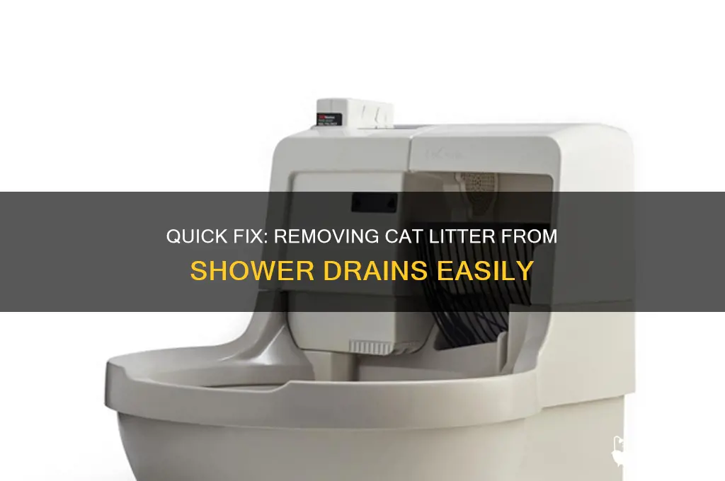 how to get cat litter out of shower drain