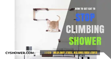 Preventing Cats from Climbing into the Shower: Effective Tips and Tricks
