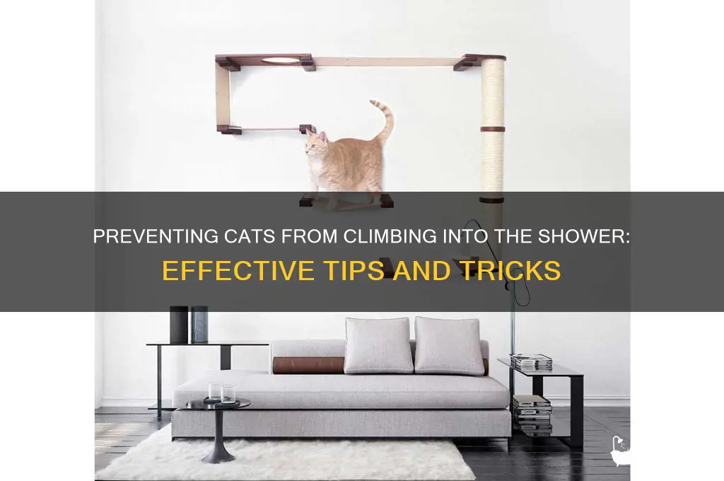 how to get cat to stop climbing shower