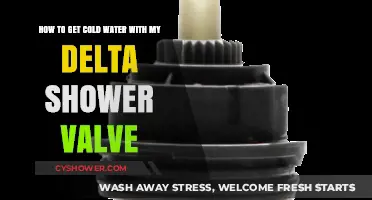 Fix Delta Shower Valve for Consistent Cold Water Flow