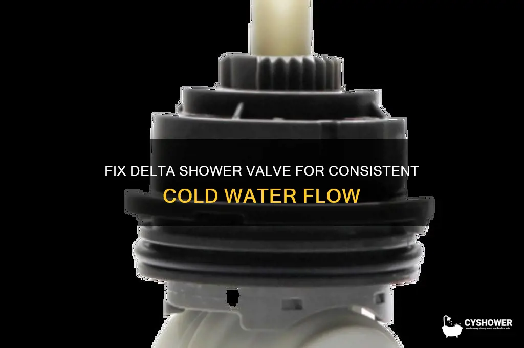 how to get cold water with my delta shower valve