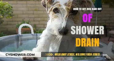 Effective Tips to Remove Dog Hair from Your Shower Drain Easily