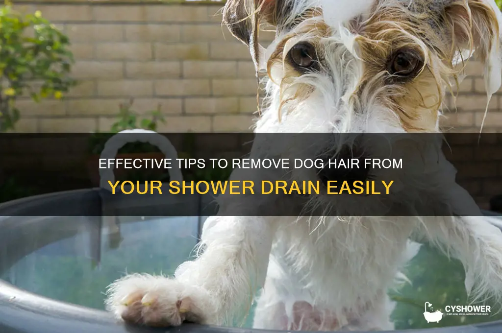 how to get dog hair out of shower drain