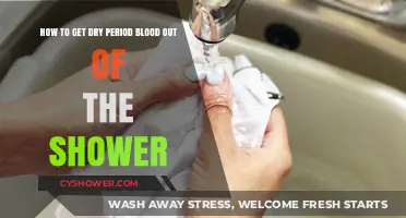 Effective Tips to Remove Dried Period Blood Stains from Your Shower