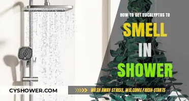 Enhance Your Shower Experience: Tips for Releasing Eucalyptus Aroma