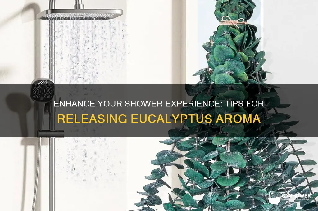 how to get eucalyptus to smell in shower