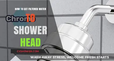 Easy Steps to Install a Shower Head Water Filter at Home