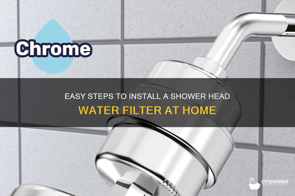how to get filtered water to shower head