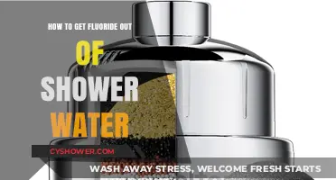 Effective Ways to Remove Fluoride from Your Shower Water