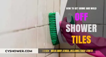 Effective Tips to Remove Grime and Mold from Shower Tiles