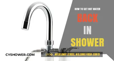Quick Fixes to Restore Hot Water in Your Shower Instantly