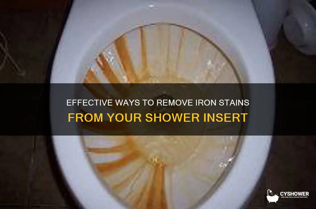 how to get iron stains off of shower insert