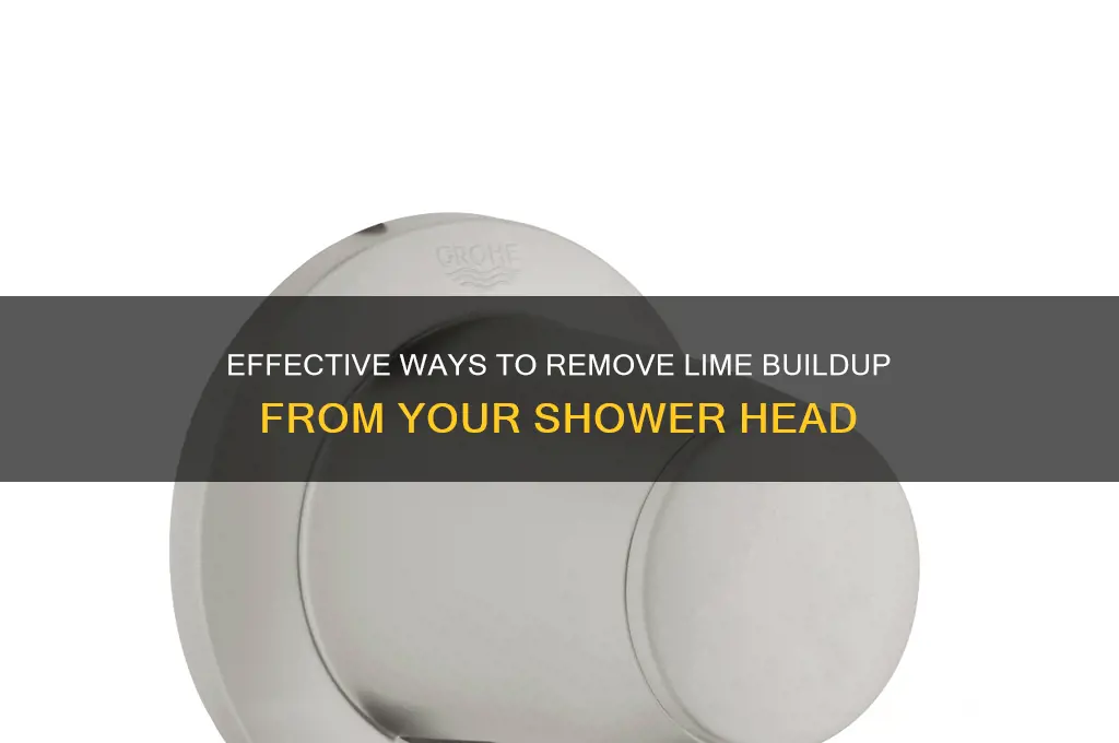 how to get lime off shower head
