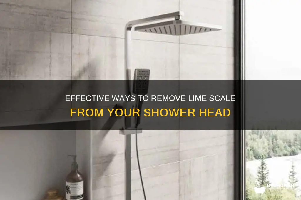 how to get lime scale off shower head