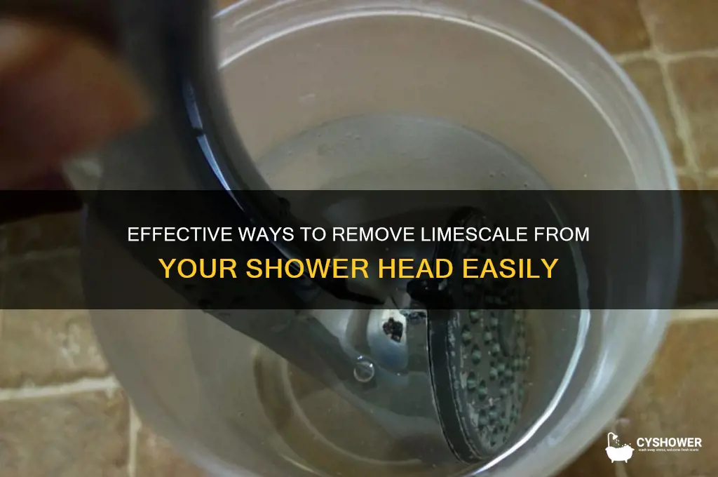how to get limescale of shower head