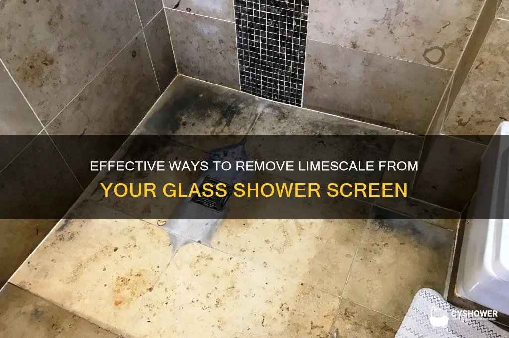 how to get limescale off a glass shower screen
