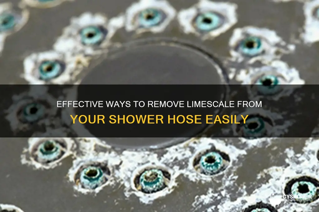 how to get limescale off shower hose
