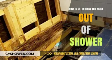 Effective Ways to Remove Mildew and Mold from Your Shower