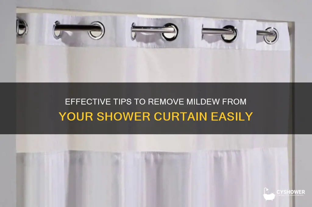 how to get mildew off a shower curtain