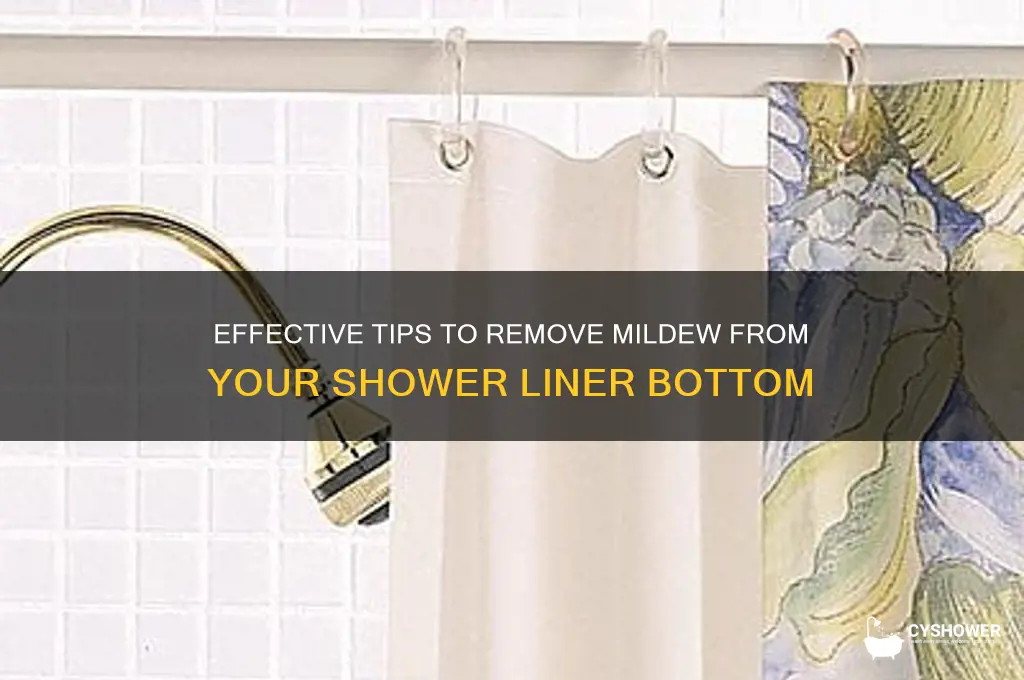 how to get mildew off bottomout of shower liner