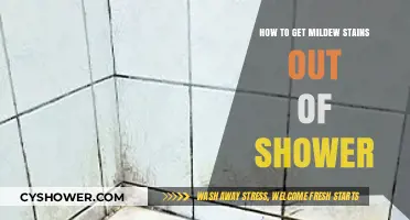 Effective Ways to Remove Mildew Stains from Your Shower