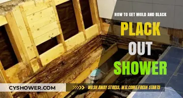 Effective Tips to Remove Mold and Black Grime from Your Shower