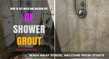 Effective Ways to Remove Mold and Mildew from Shower Grout