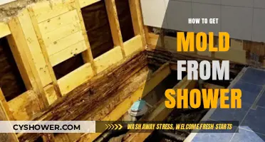 Effective Ways to Remove Mold from Your Shower Quickly and Safely