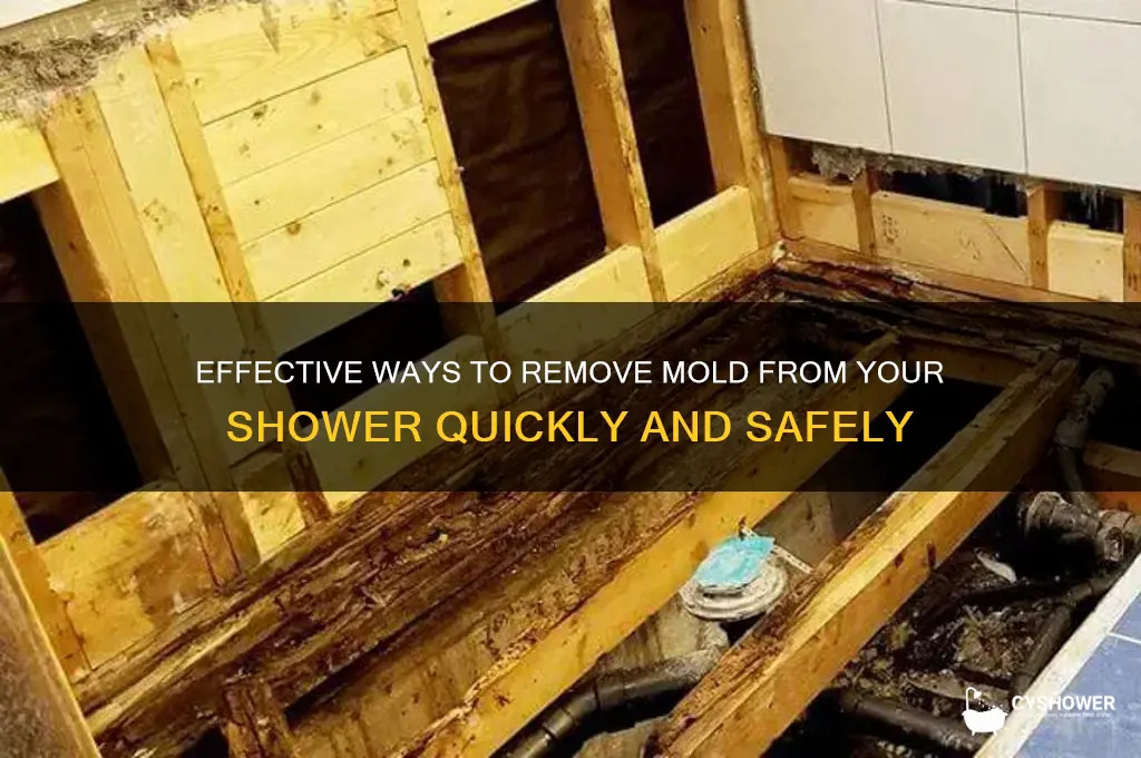 how to get mold from shower
