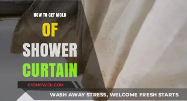 Effective Tips to Remove Mold from Your Shower Curtain Easily