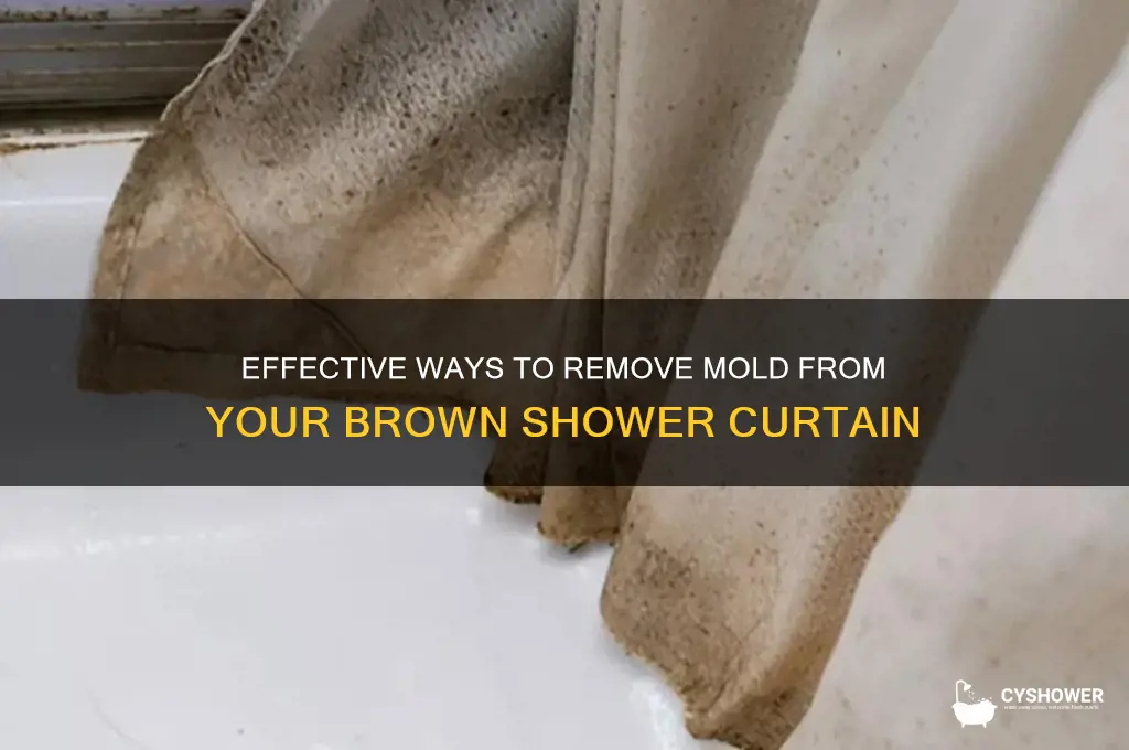 how to get mold off a brown shower curtain