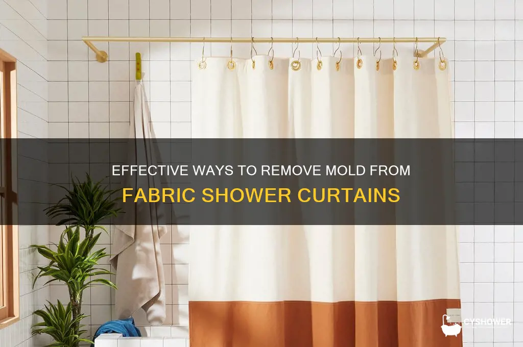 how to get mold off a fabric shower curtain