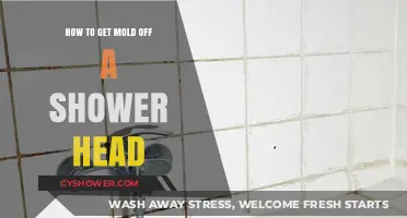 Effective Ways to Remove Mold from Your Shower Head Easily
