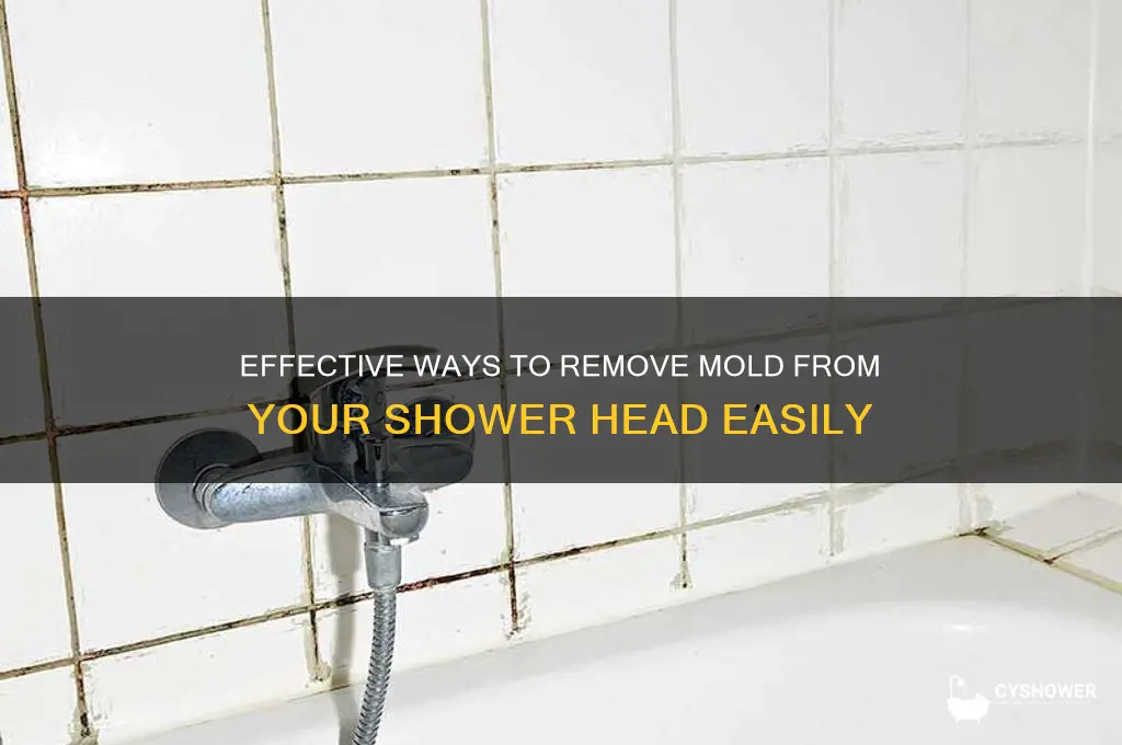 how to get mold off a shower head