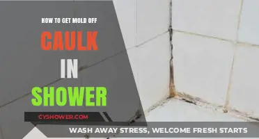 Effective Tips to Remove Mold from Shower Caulk Easily