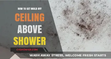 Effective Ways to Remove Mold from Shower Ceilings Permanently