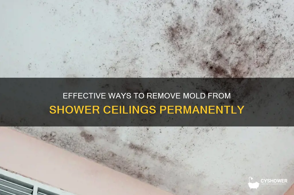 how to get mold off ceiling above shower