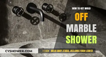 Effective Ways to Remove Mold from Marble Shower Surfaces
