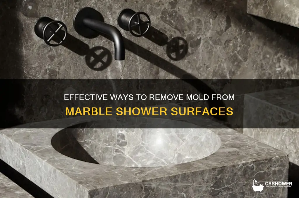how to get mold off marble shower