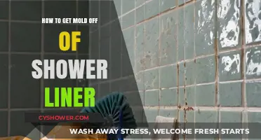 Effective Ways to Remove Mold from Your Shower Liner Easily